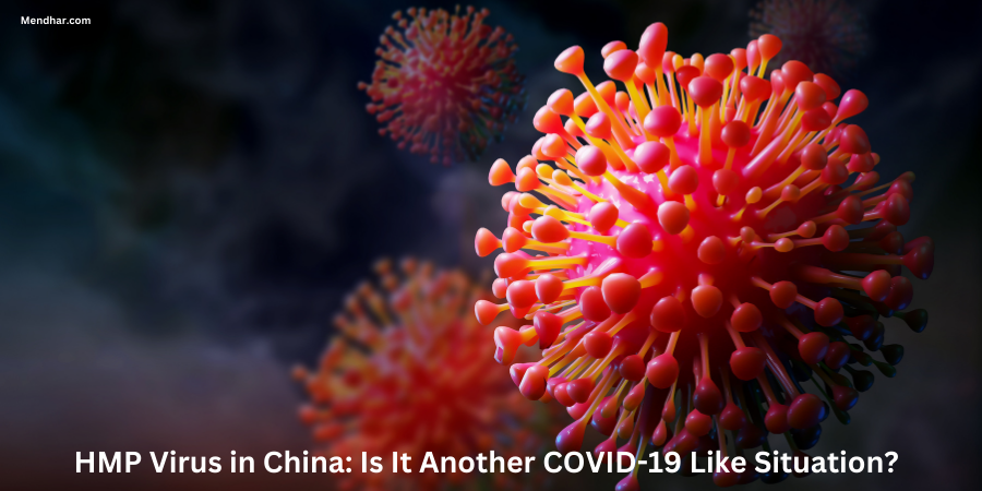 HMP Virus in China: Is It Another COVID-19 Like Situation?