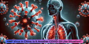 HMP Virus in China: Is It Another COVID-19 Like Situation?